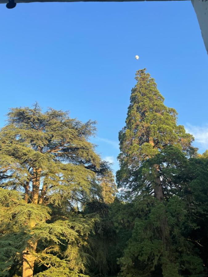 Saint-Règle Entre Les Branches B&B 외부 사진