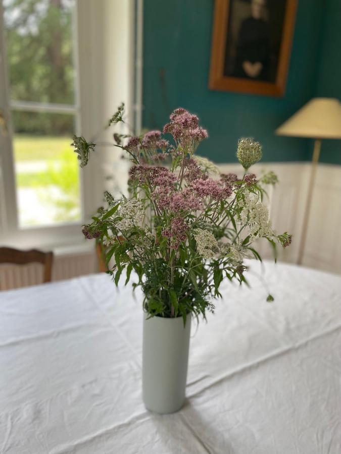 Saint-Règle Entre Les Branches B&B 외부 사진